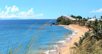 A Blissful Carib/n Getaway! Work or Leisure, 15 mins to Beaches & Restaurants.