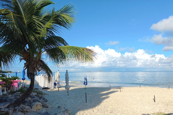 Coconut Grove beach. Only 15 minutes away!