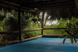 Property grounds - Cozy tropical / industrial quonset located in a secondary tropical forest. (Playa Hermosa)