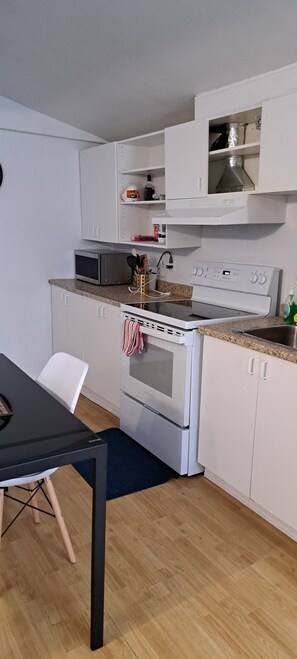 Fridge, oven, stovetop