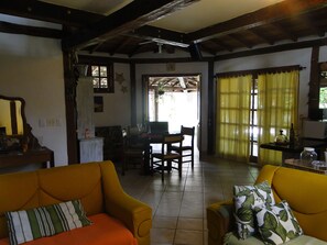 TV connectée, cheminée, livres