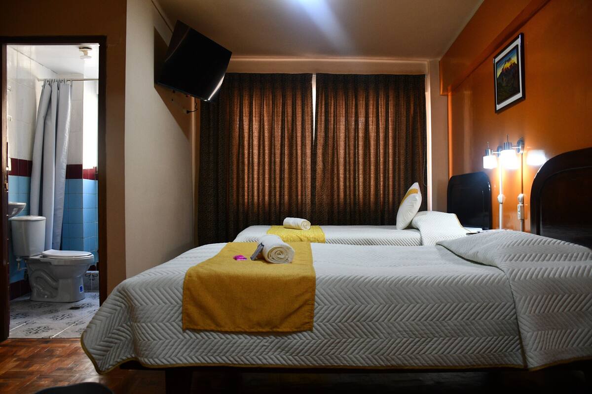 Standard Twin Room, Ensuite | Down comforters, desk, laptop workspace, WiFi (free)