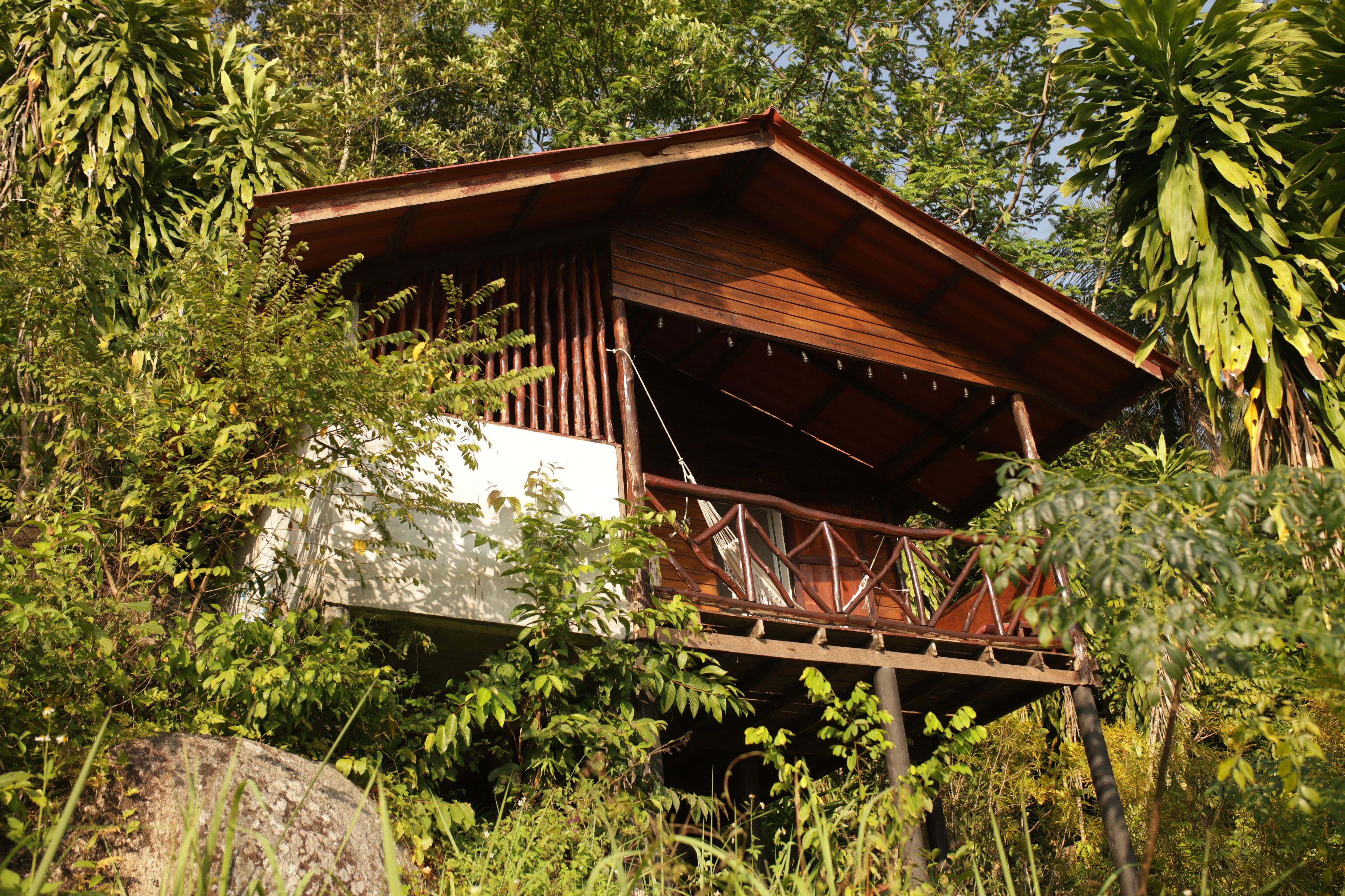 A wooden cabin with a balcony, surrounded by dense foliage.