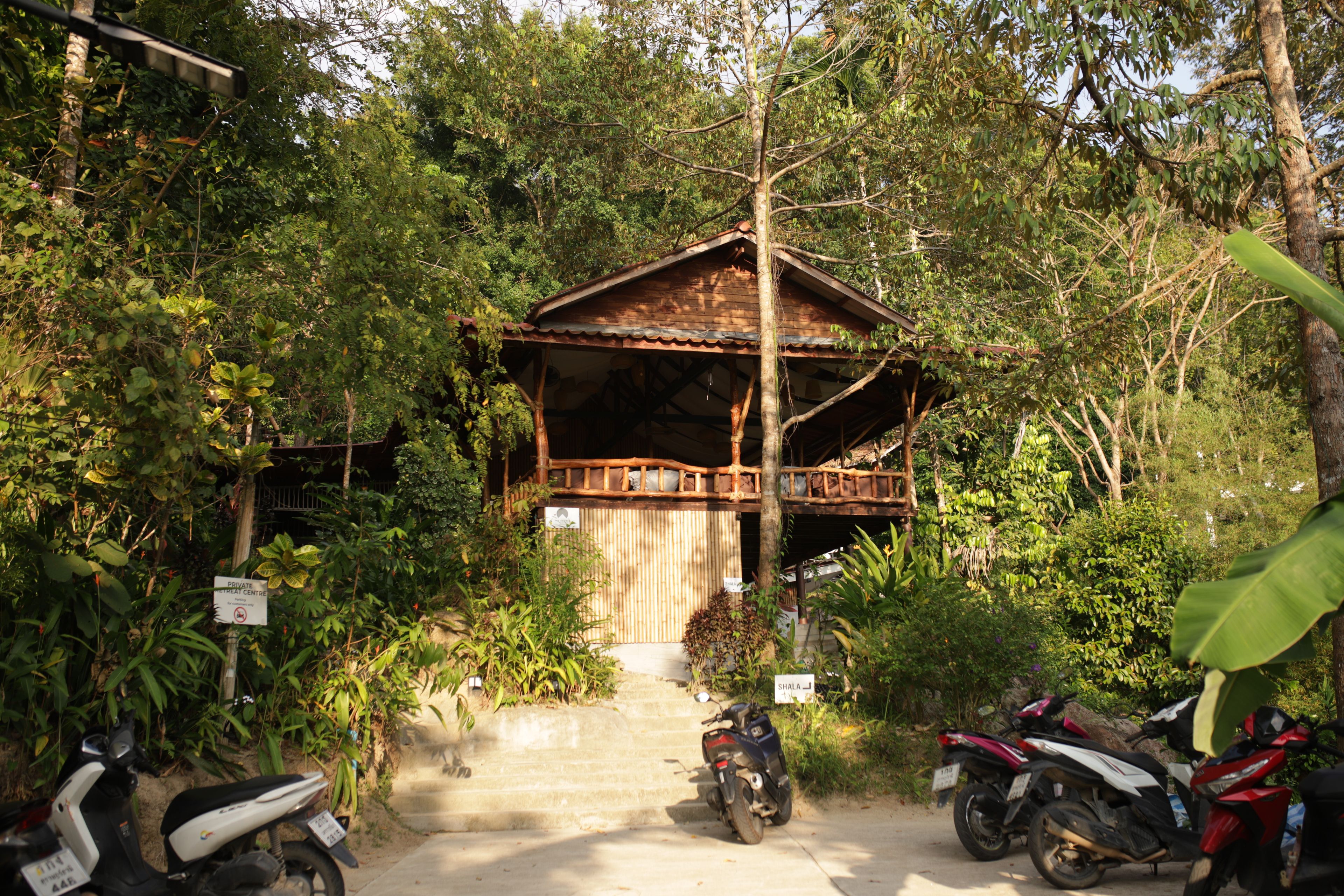 A rustic wooden structure with a porch, surrounded by dense greenery and a dirt path leading to it.