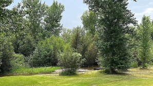 Un área verde con árboles y un pequeño arroyo.