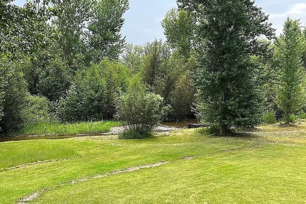 Àrea exterior de l'allotjament