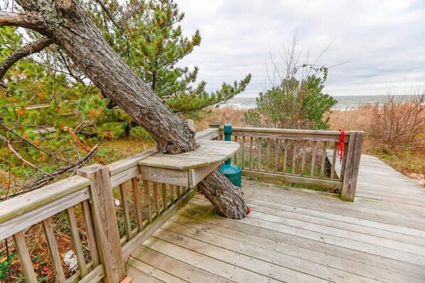A wooden deck with a railing, a fallen tree, and a view of the beach.