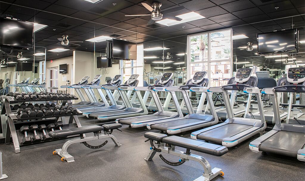 Un gimnasio con cintas de correr, mancuernas y máquinas de pesas.