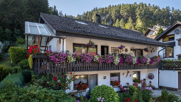 Eine Chalet mit Holzbalkon, ein Garten mit verschiedenen Pflanzen und Blumen, und eine Bergkulisse im Hintergrund.