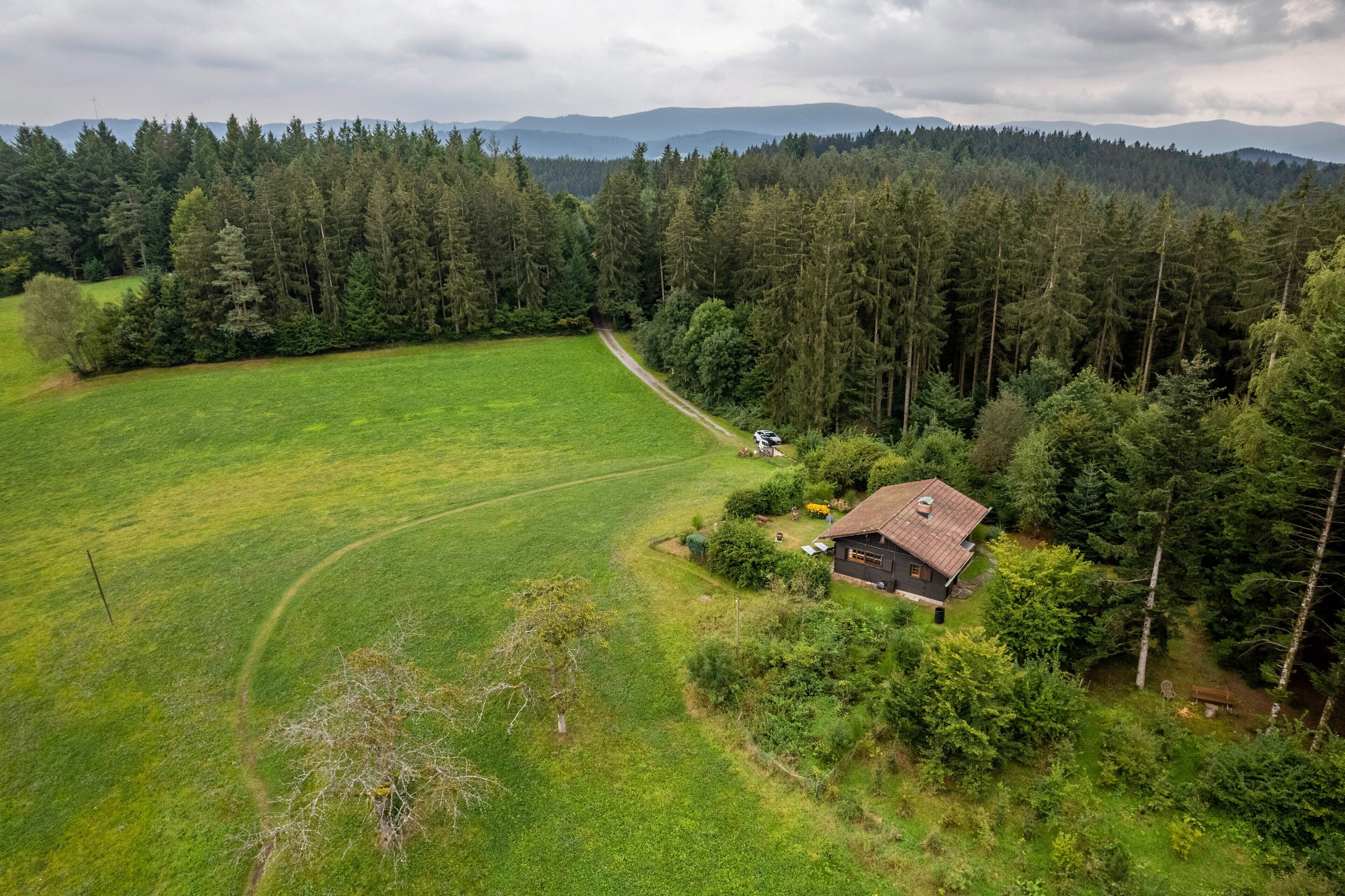 Ett lantligt landskap med ett hus omgivet av tät skog och öppna fält.