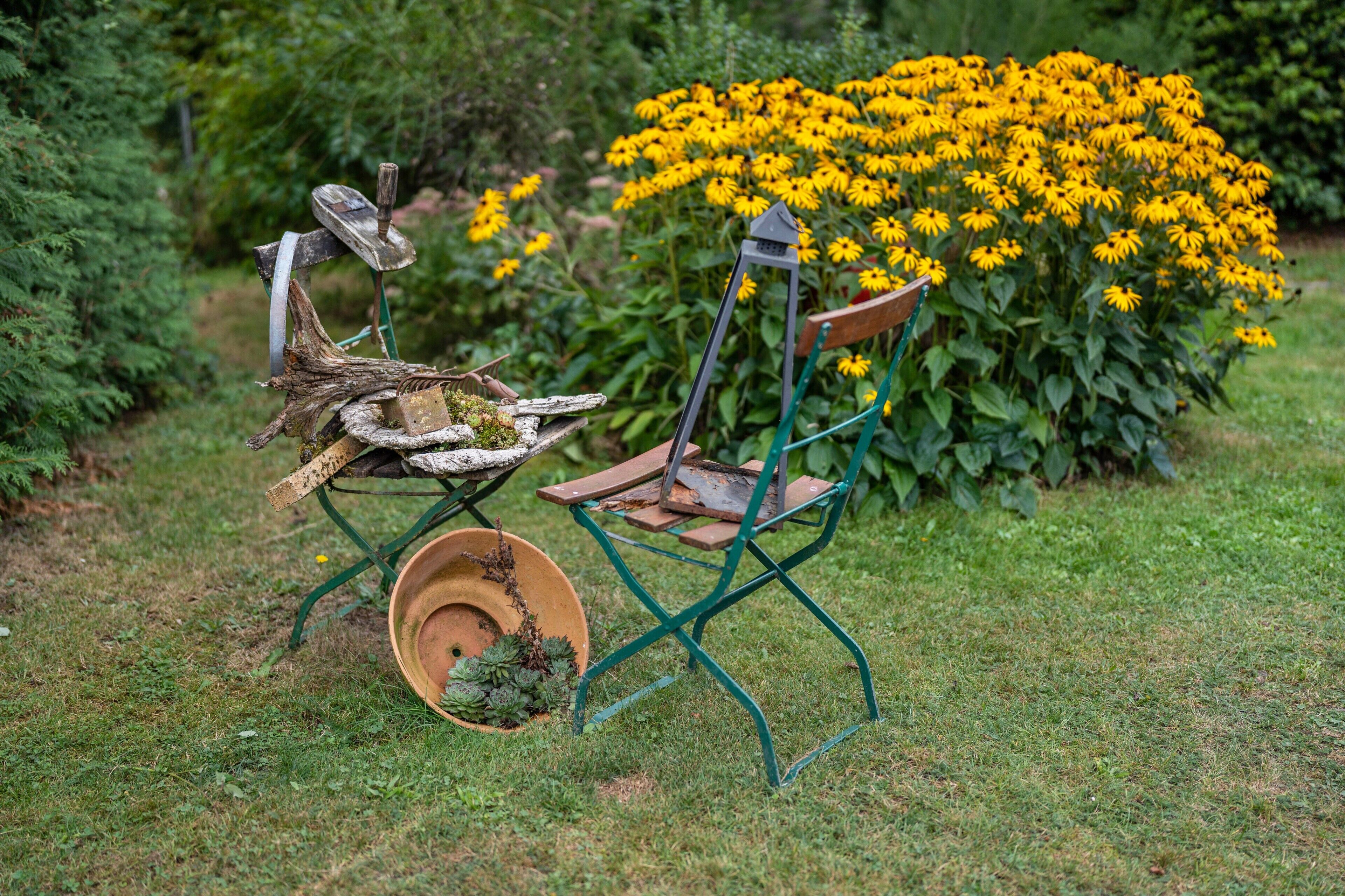 A garden with a chair and a pot of succulents.