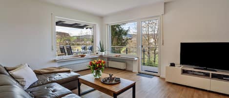 Télévision, lecteur de DVD, chaßne hi-fi