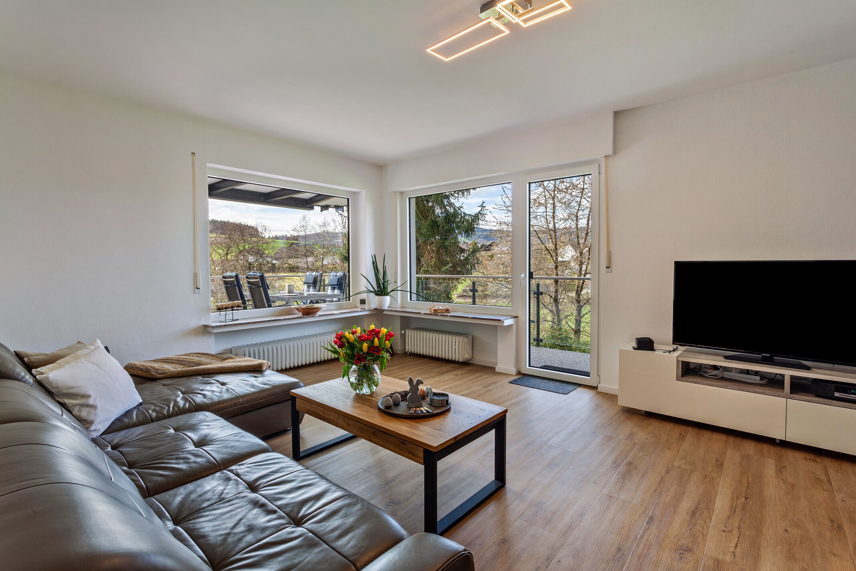 Télévision, lecteur de DVD, chaîne hi-fi