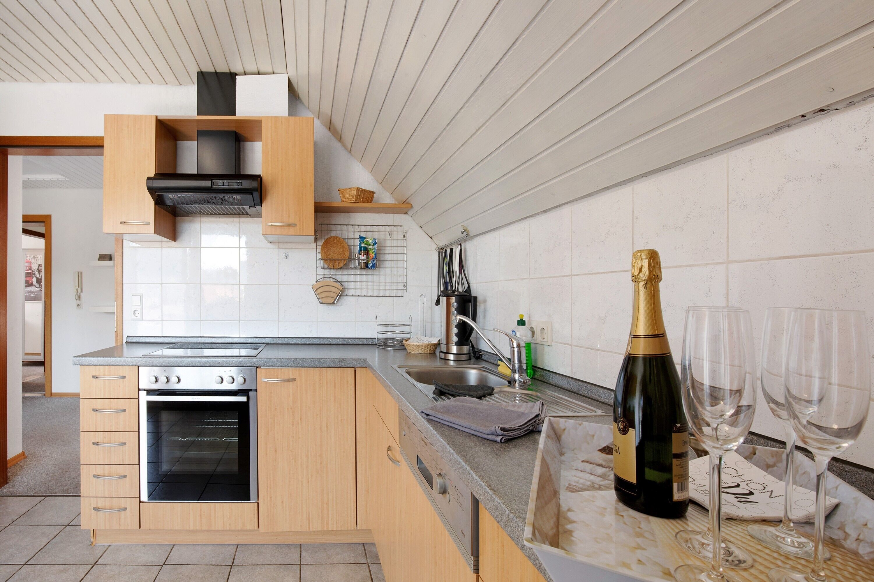 Kühlschrank, Ofen, Herdplatte, Geschirrspüler