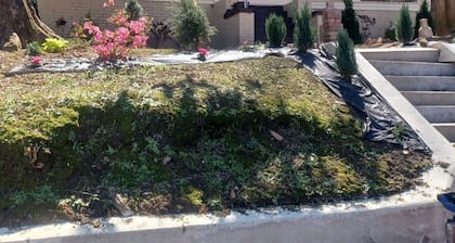 Downtown Abbey at Dodd