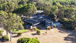 A modern house with a flat roof, surrounded by dense trees.