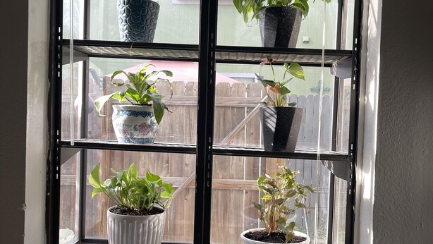 A window with four shelves holding potted plants. - TXST Cozy and centrally located (San Marcos)