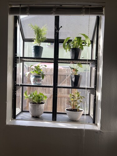 TXST Cozy and centrally located