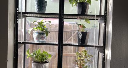 TXST Cozy and centrally located