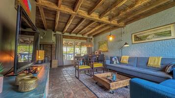 Televisión, chimenea