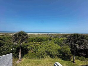 A coastal landscape with a wooden boardwalk leading to the beach, surrounded by dense greenery and palm trees. - Oceanfront Condo in St. Augustine (St. Augustine)