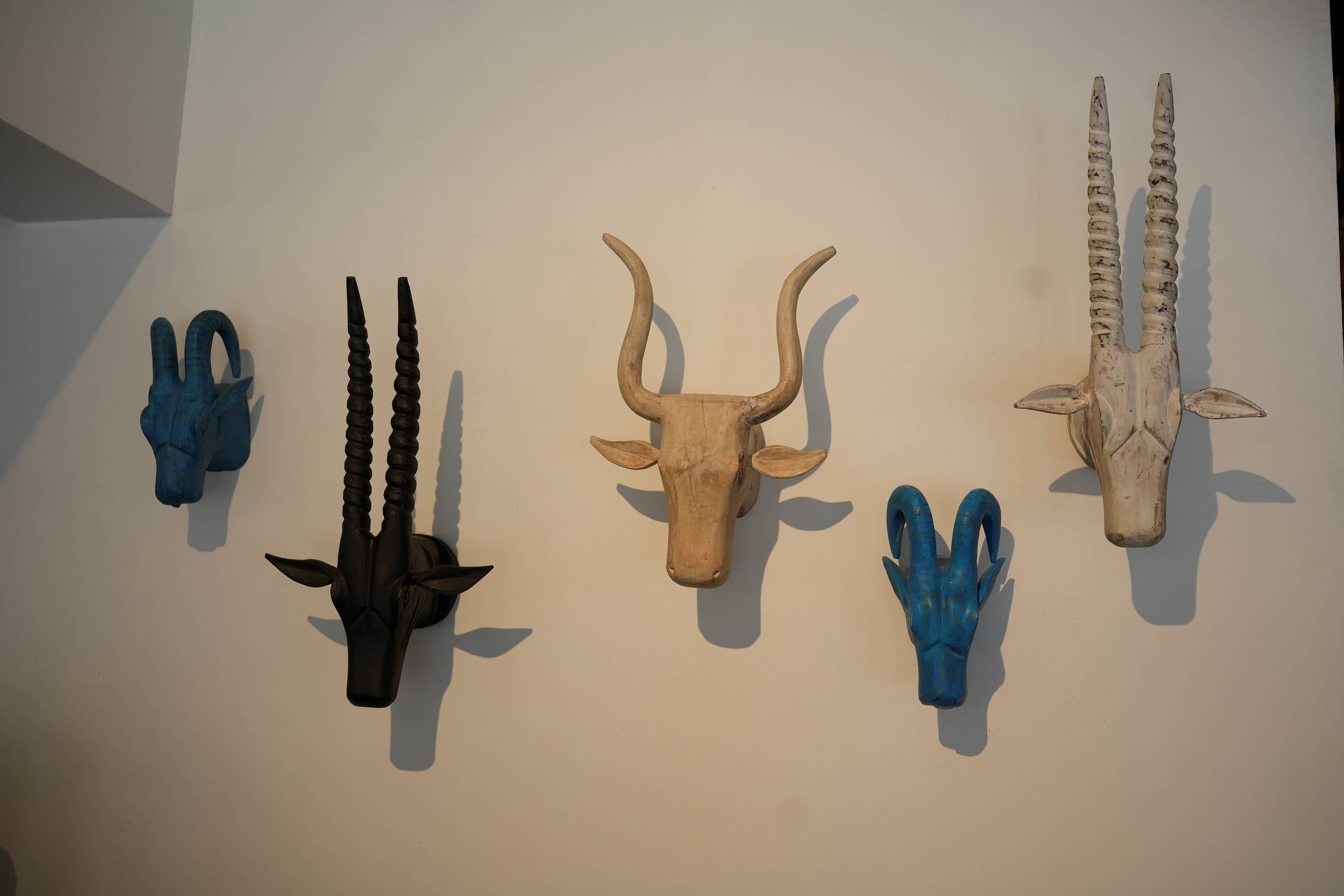 Un mur où sont exposés différents crânes d’animaux.
