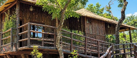 A rustic treehouse with a wooden deck and a railing.