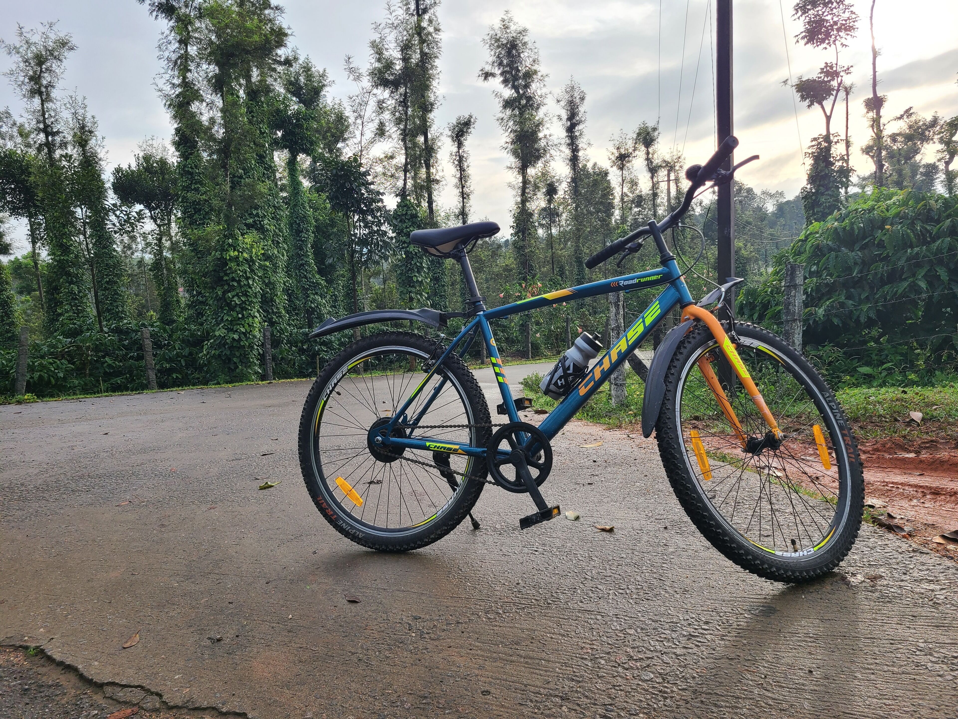 A blue mountain bike with a water bottle and orange fenders parked on a paved road with a forested background.