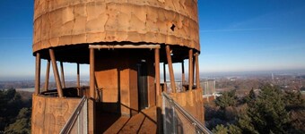 Chalet in Dutch Park with Garden and Terrace