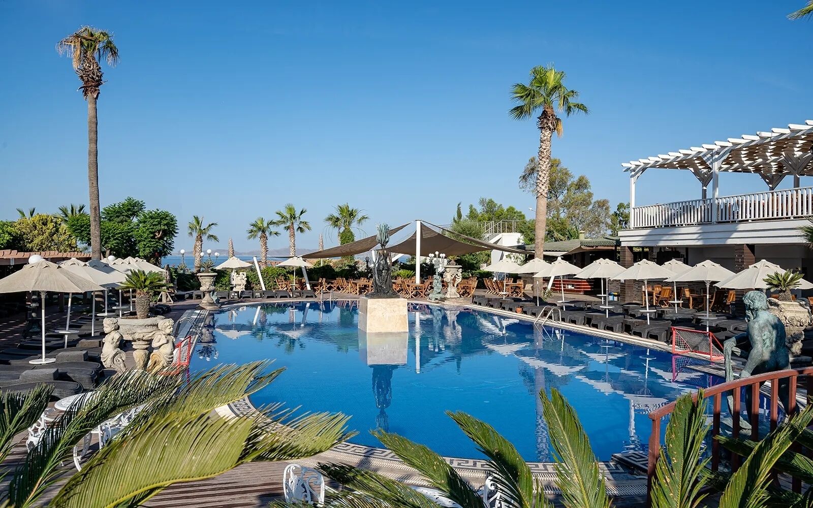 A pool area with lounge chairs, umbrellas, and palm trees.