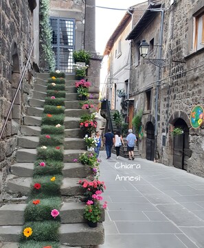 A narrow street with stone steps adorned with colorful flowers. - 
Apartment with parking 5 minutes from the Terme dei Papi in Viterbo (Vitorchiano)
