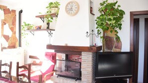 Un salon avec un téléviseur, une cheminée et diverses plantes.