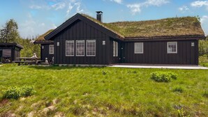 A black wooden house with a thatched roof, a wooden porch, and a grassy yard.