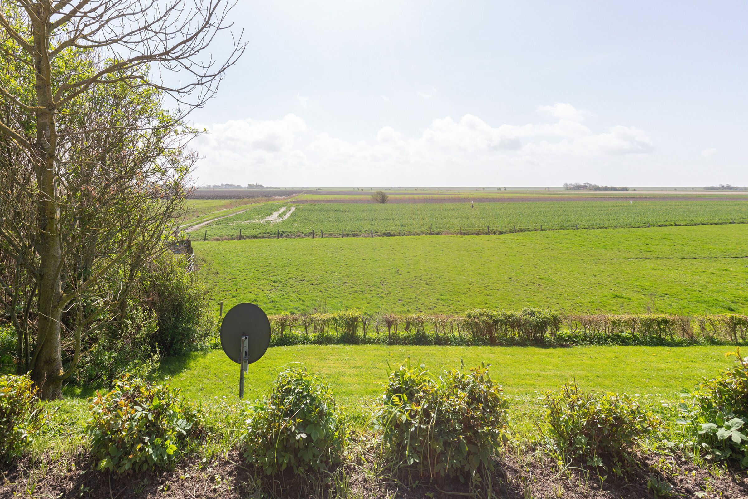 Een landelijk landschap met een veld, een pad en een boom.