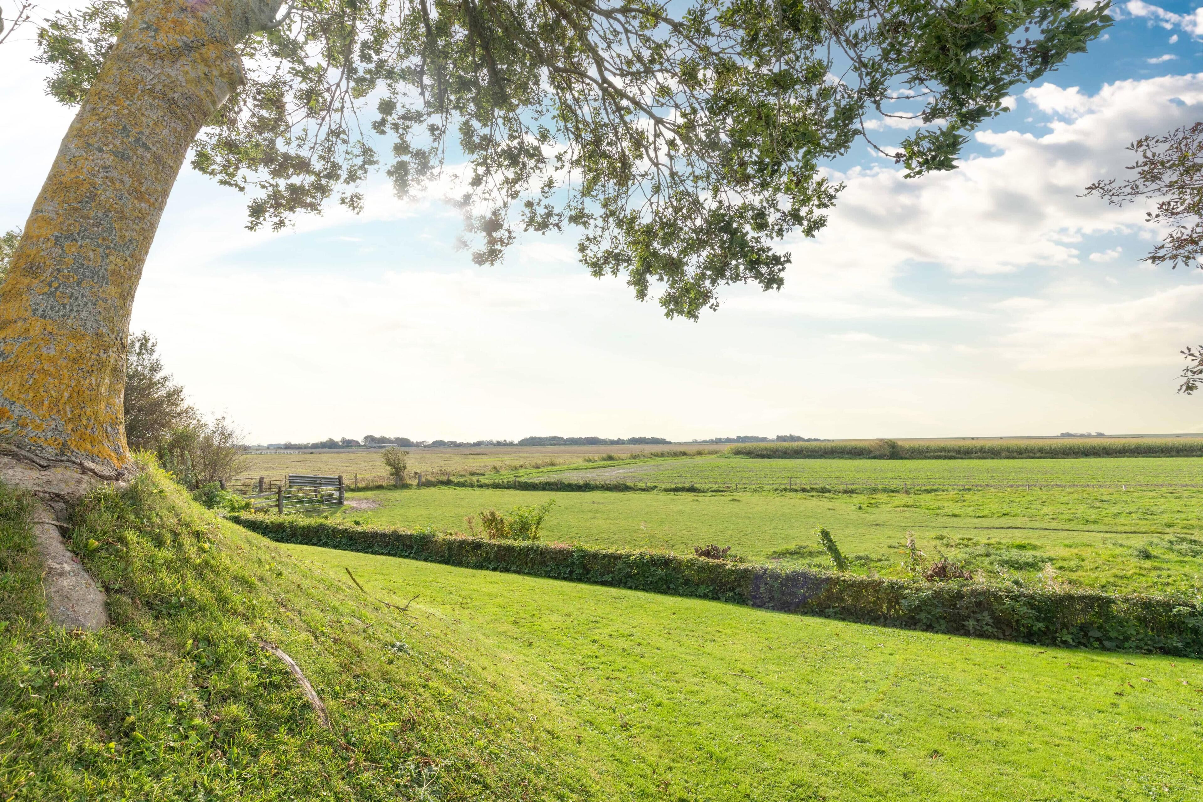 Un paysage rural avec un mur de pierres, un banc et des champs ouverts.