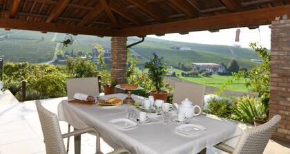 EdMo: Shelter among the vineyards - OSASCA Chamber