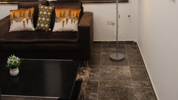 A living room with a dark brown sofa, patterned cushions, a small table with a plant, a floor lamp, and a painting on the wall. - Kans Krib (Accra)
