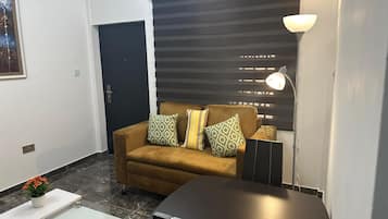 Departamento exclusivo | Área de sala de estar | Televisión de pantalla plana
