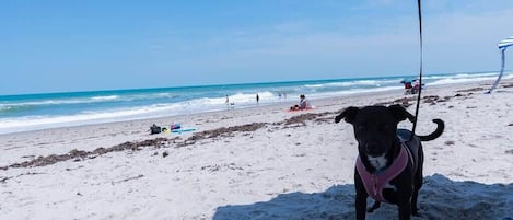 Playa en los alrededores