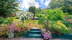 A garden with various plants and flowers, a wooden pathway, and a set of stairs leading up to a higher level. - SandyBay Garden Hideaway (Sandy Bay)