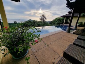 A rooftop pool area with a potted plant and outdoor furniture.