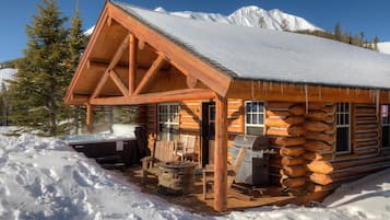 Cabin, 2 Bedrooms | BBQ/picnic Area