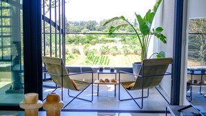 A modern room with a glass table, two chairs, a small table with pastries, and a large plant. - Sunset Gardens (Tserkezoi)