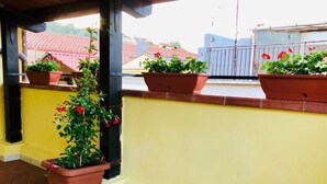 A balcony with terracotta planters containing various plants and flowers.