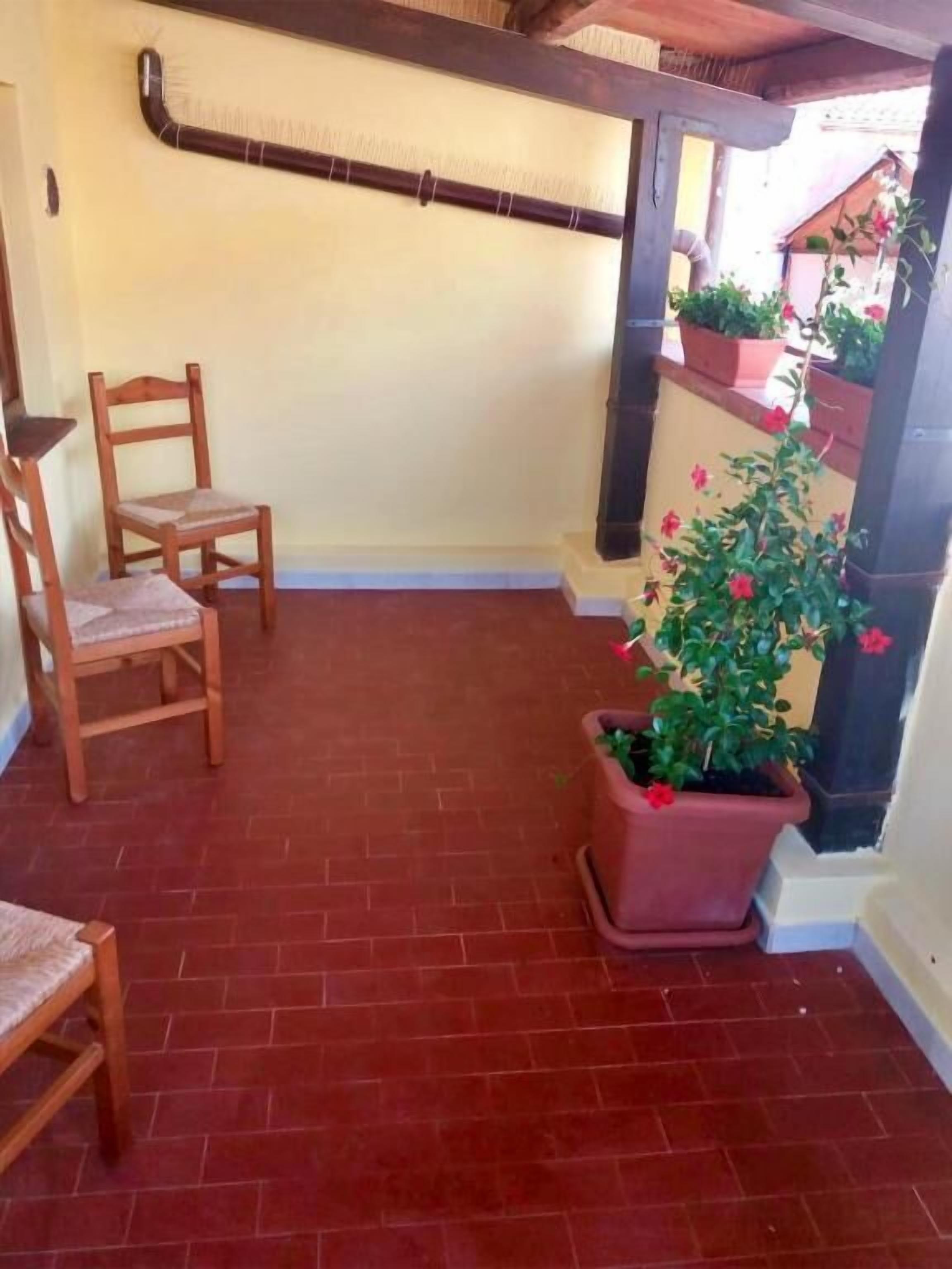A small patio area with two wooden chairs, a potted plant with red flowers, and a brick floor.