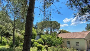 A house surrounded by a garden with various plants and trees. - Au Calme, Très Jolie Maison, bel Espace Piscine, Pool House, Cadre Champêtre (Cadenet)