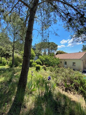Property grounds - Au Calme, Très Jolie Maison, bel Espace Piscine, Pool House, Cadre Champêtre (Cadenet)