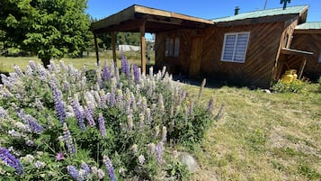 Cabin | Terrace/patio