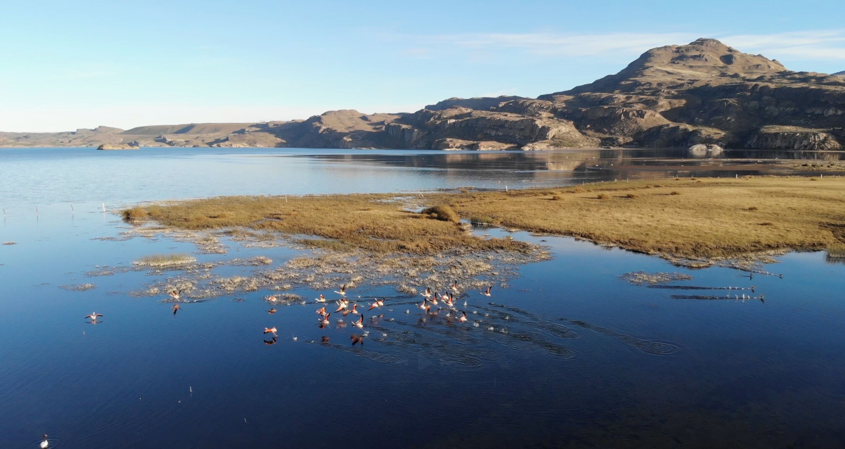 Un lago con una montaña rocosa al fondo y una zona cubierta de hierba en primer plano.