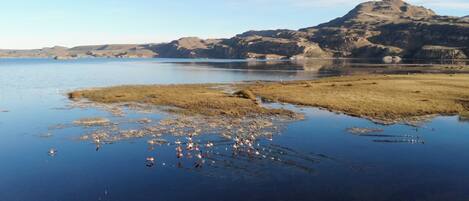 Un lago con una montaña rocosa al fondo y una zona cubierta de hierba en primer plano.